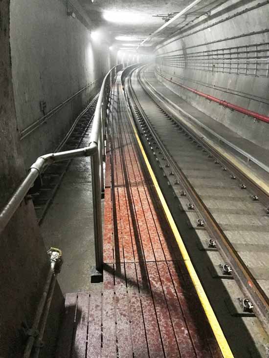 轉(zhuǎn)型升級系列報道之七｜“新棋子”科博思擁抱趨勢，用實力擴大隆華復材疆域